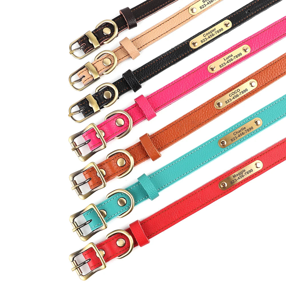 Personalised Leather Puppy Collar for  Dog - Pet Friendly Supplies