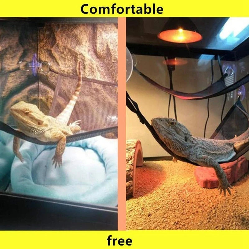 Reptile Hammock Lounger Ladder Accessories Set Pet Friendly Supplies