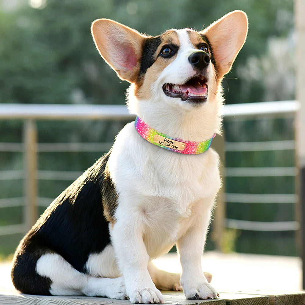 Beautiful Glittery Personalised Dog Collar - Pet Friendly Supplies