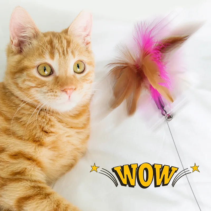 Interactive Cat Toys Pet Friendly Supplies