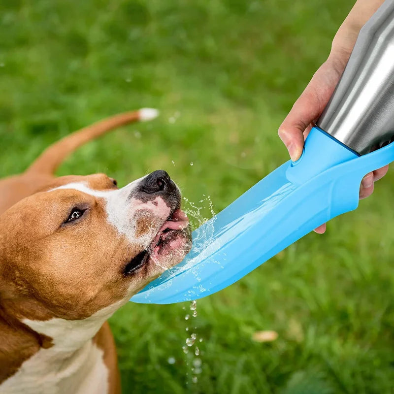 Large Stainless Steel Portable Dog Water Bottle Pet Friendly Supplies