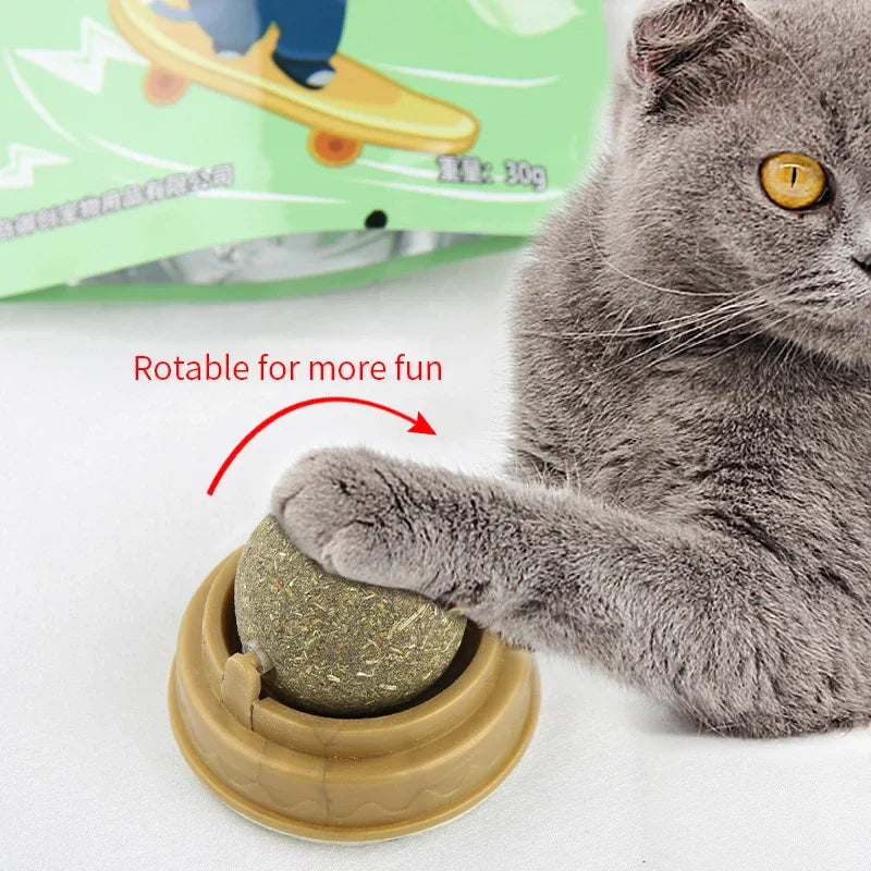 Interactive cat toy with rotating ball: a playful British Shorthair cat engages with a brown track toy, providing endless amusement and exercise for your feline friend.