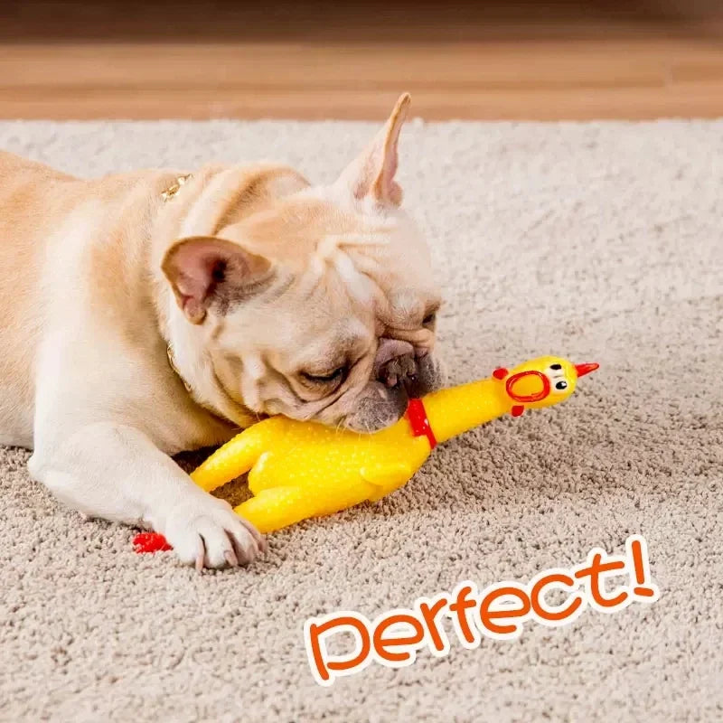 Funny Screaming Chicken Dog Chew Toy Pet Friendly Supplies