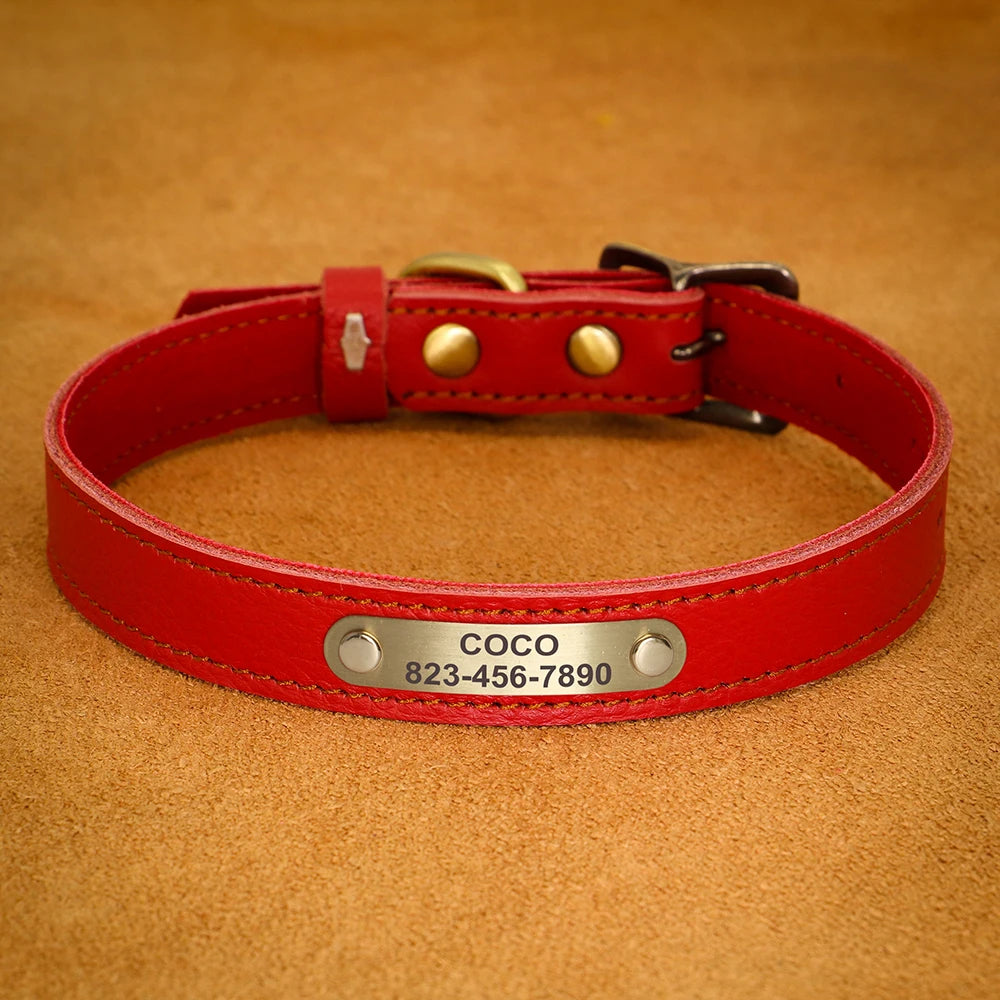 Personalised Leather Puppy Collar for  Dog - Pet Friendly Supplies