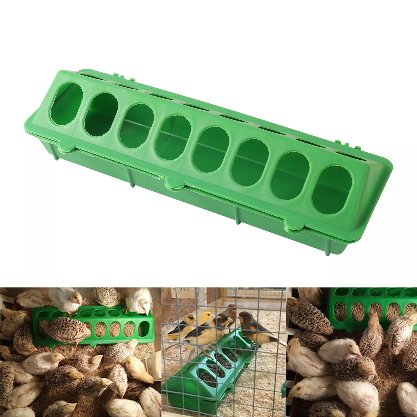 Double Row 16 Holes Poultry Ground Feeder - Pet Friendly Supplies