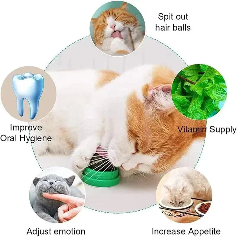 Discover the multifunctional cat grooming tool: enhances oral hygiene, provides vitamins, adjusts mood, increases appetite, and aids in hairball removal. Ideal for maintaining your cat's well-being.