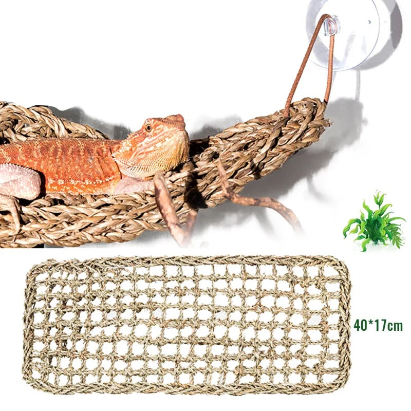 Animal Seaweed Mats Hammock Terrarium Decoration Pet Friendly Supplies