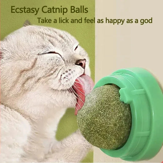 Delight your feline with Ecstasy Catnip Balls—perfect for endless joy. A blissful cat licks the green treat, showcasing sheer happiness. Ideal for cat lovers seeking to pamper their pets. #CatnipBalls #HappyCat #PetCare #FelineFun #CatTreats