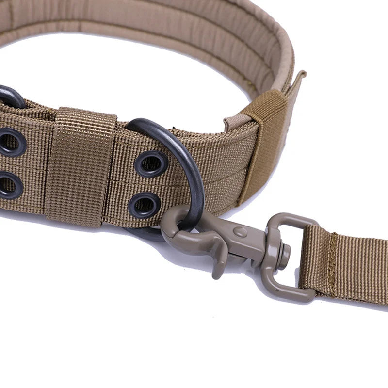 Heavy-duty tactical dog collar with a secure locking buckle, D-ring, and reinforced eyelets, perfect for training and outdoor adventures.