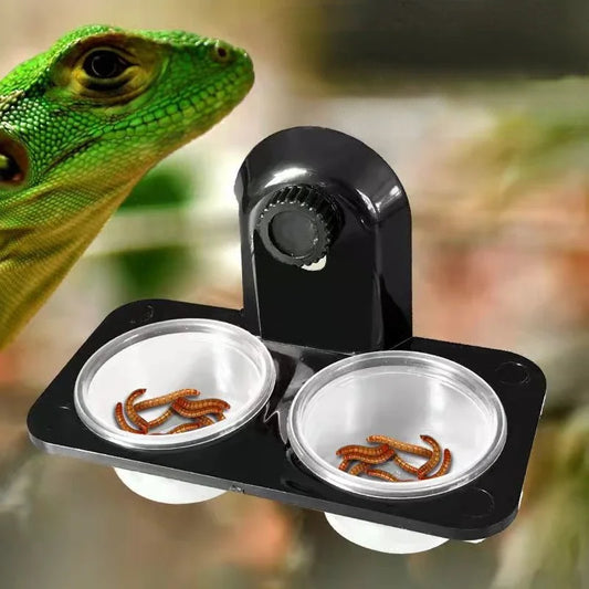 Feeding Ledge Reptile Water and Food Dish - Pet Friendly Supplies